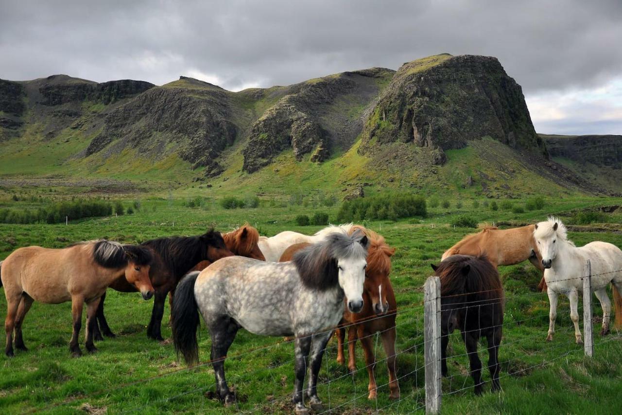 Vila Lundur Borgarnes Exteriér fotografie